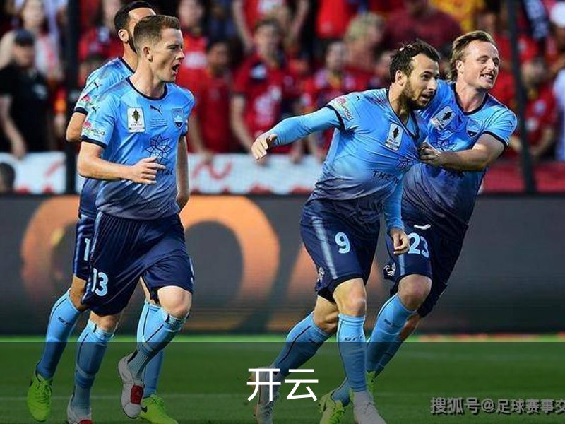 开云简介